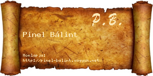 Pinel Bálint névjegykártya